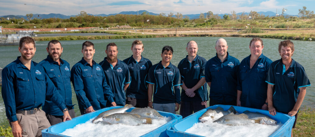 GFB Fisheries | Spring Creek Barramundi team