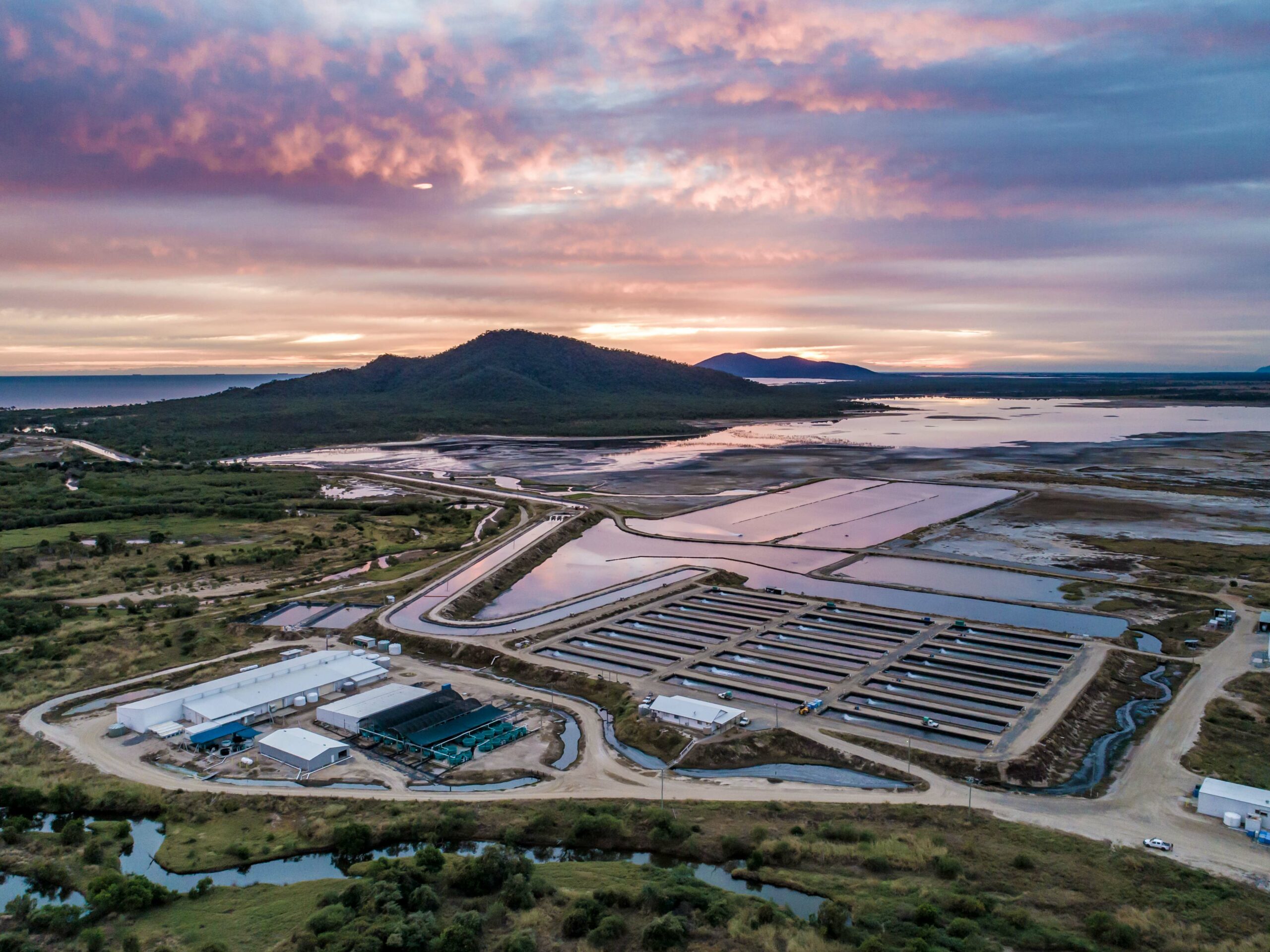 Coral Coast Barramundi - Farm Aerial