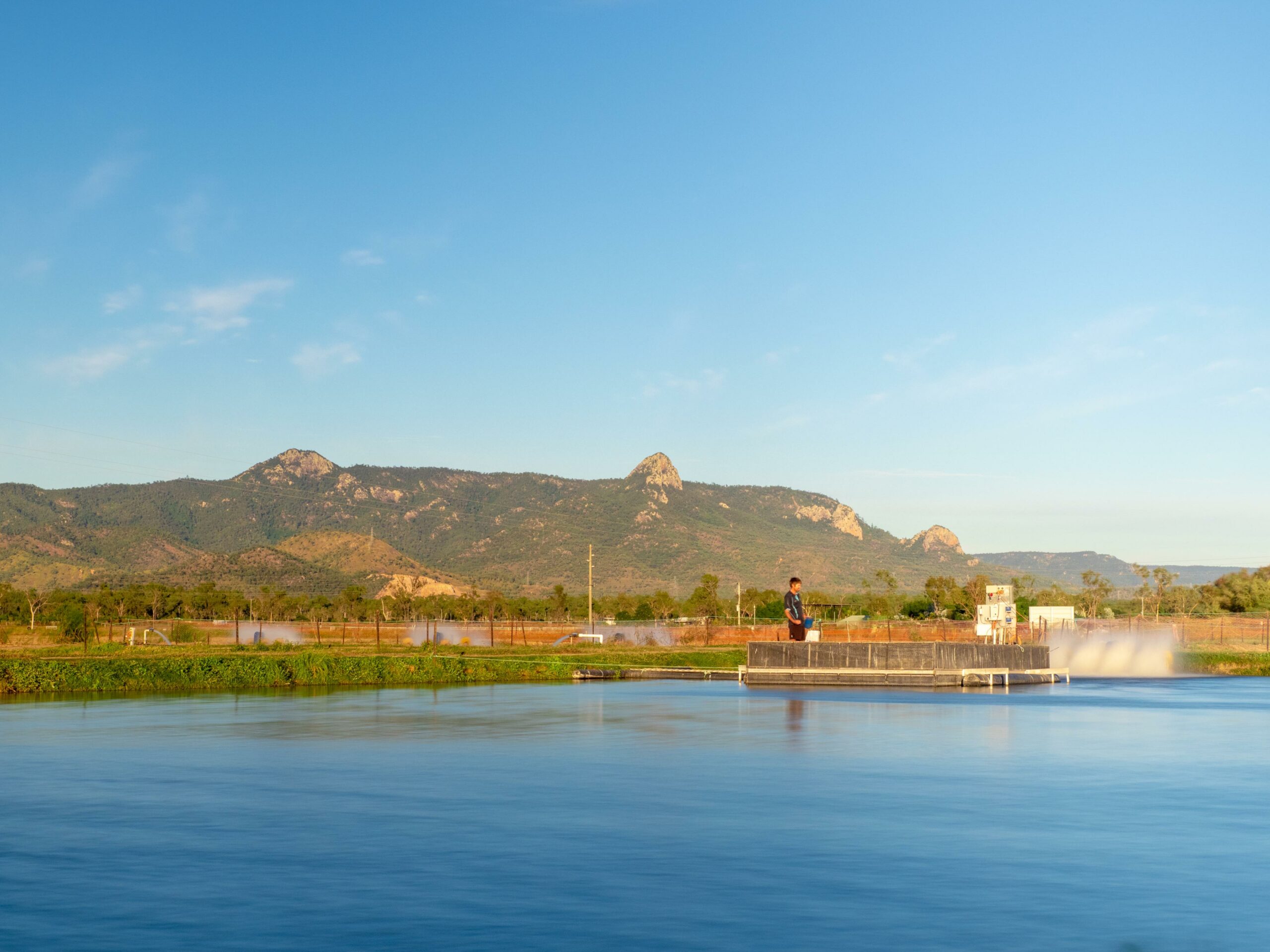 Spring Creek Barramundi farm hero shot