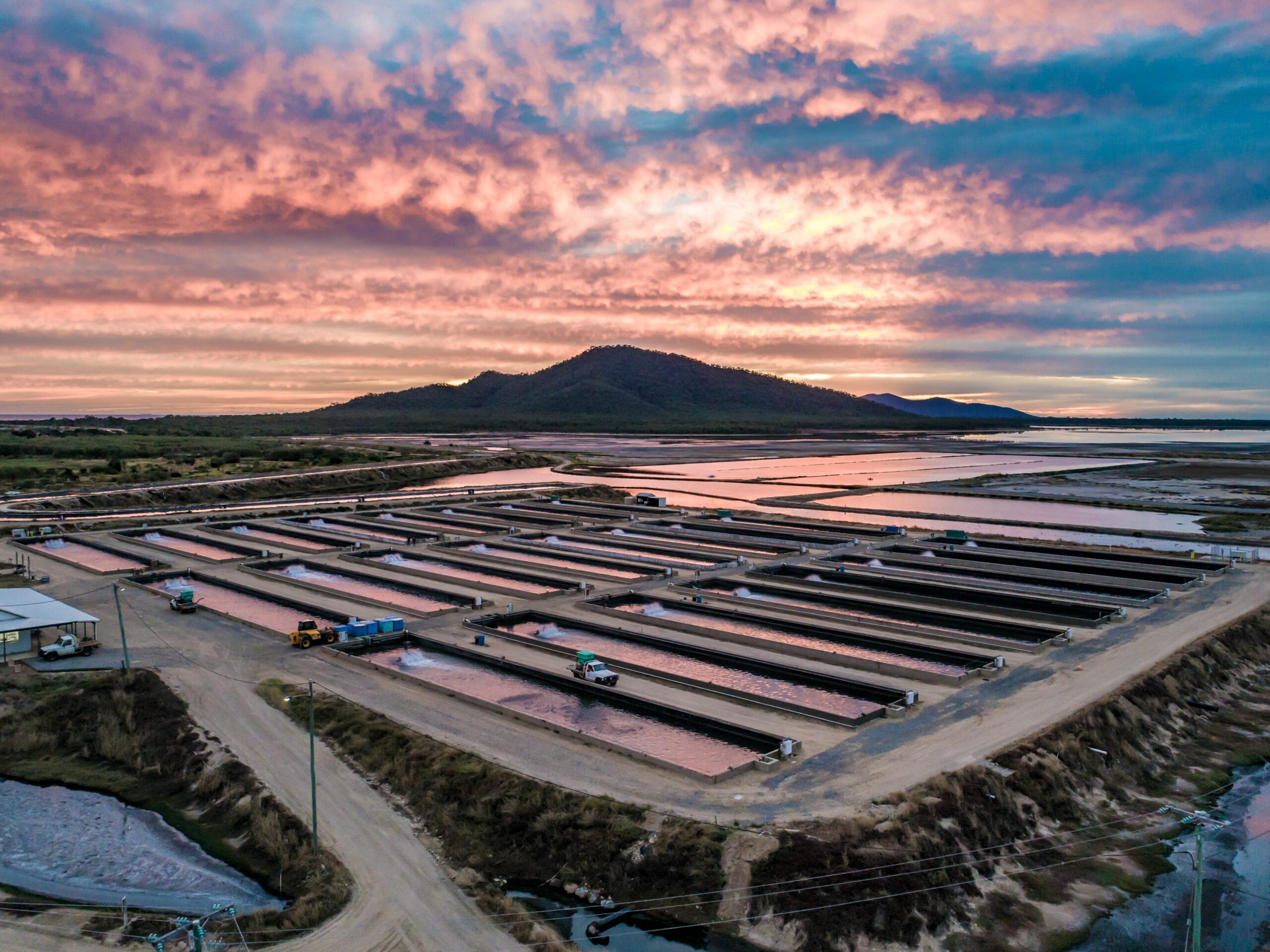 Coral Coast Barramundi- Farm Aerial 2