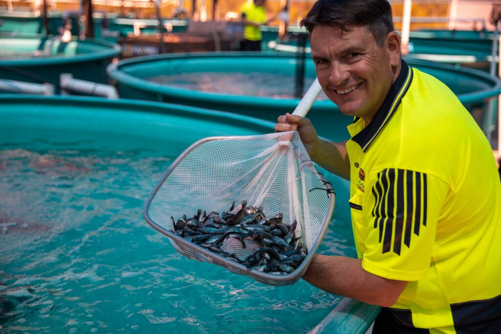 GFB Fisheries Barramundi Hatchery and Nursery ponds | Coral Coast Baramundi